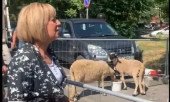 Мая Манолова с акция срещу високите цени на горивата, отиде на бензиностанция с овце